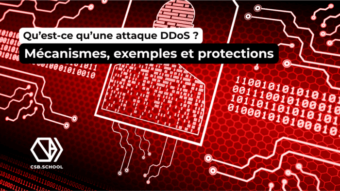 Qu’est-ce qu’une attaque DDoS ?